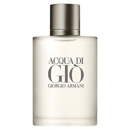 Acqua Di Giò Homme Giorgio Armani - Perfume Masculino - Eau de Toilette 100ml